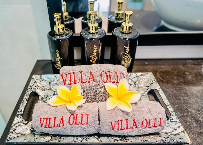 Villa Olli